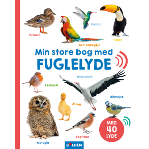 Min store bog med fuglelyde