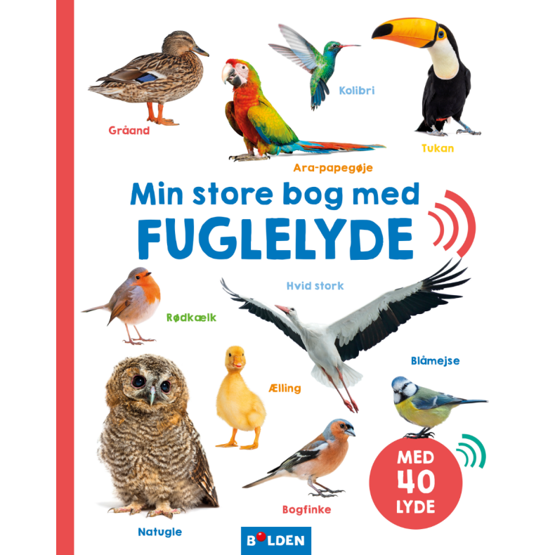 Min store bog med fuglelyde