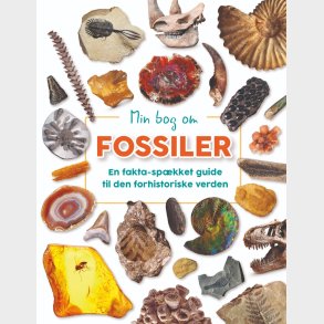 Forlaget Bolden | Min bog om fossiler