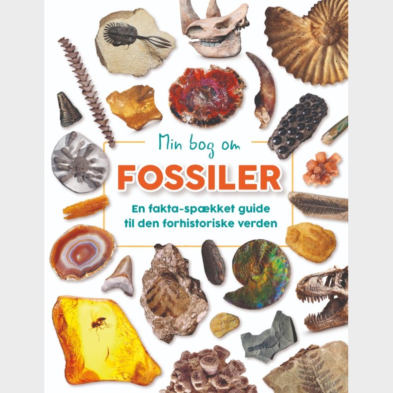 Forlaget Bolden | Min bog om fossiler