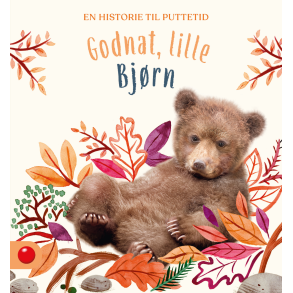 Forlaget Bolden | Godnat, lille Bjrn