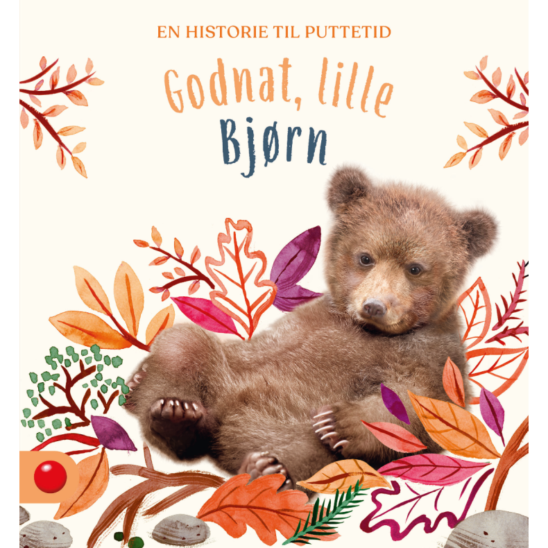 Forlaget Bolden | Godnat, lille Bjrn