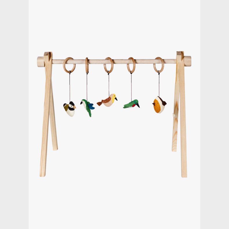 Quax Dino Aktivitetsleget�j 5 Dele