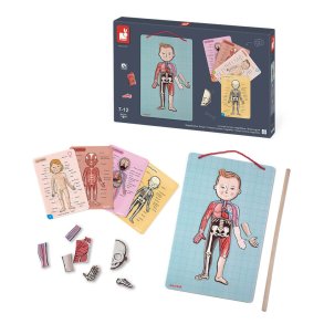 Janod | Magnetleg - Anatomi