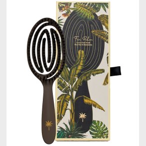 Fan Palm Hrbrste - Large - Coco