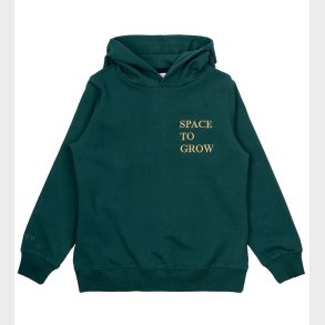 The New H�ttetr�je - TNMalik - June Bug