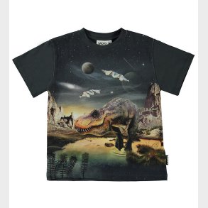 Molo Bluse - Riley - T-Rex Planet