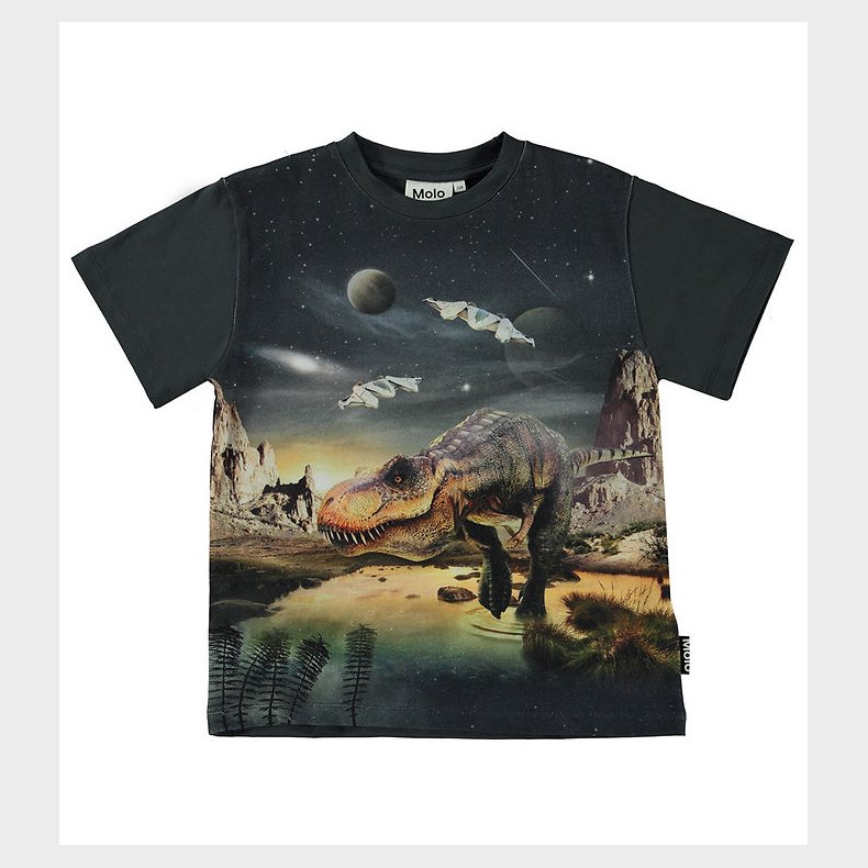 Molo Bluse - Riley - T-Rex Planet