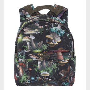 Molo Rygsk - Fungi Life