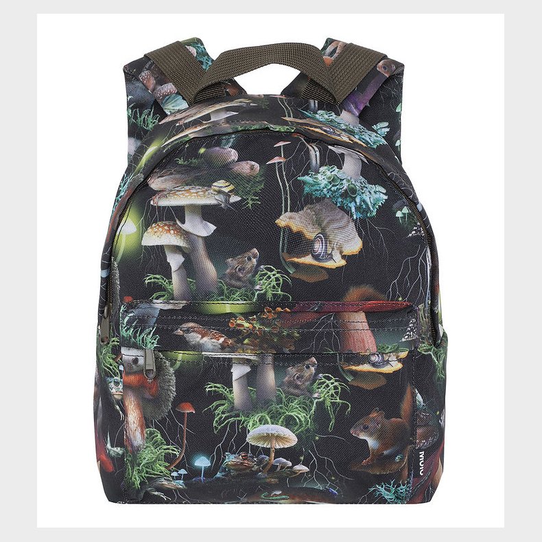 Molo Rygsk - Fungi Life