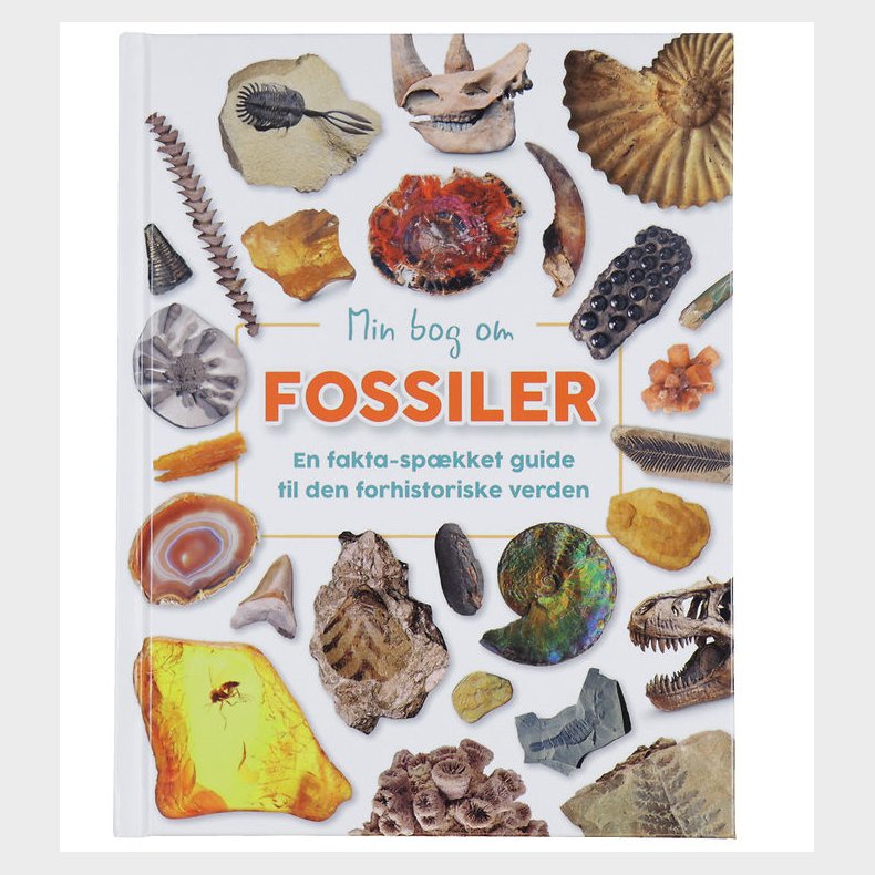 Forlaget Bolden Bog - Min Bog Om Fossiler