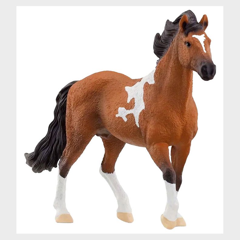 Schleich Horse Club - L: 17 cm - Mangalarga Marchador Hingst