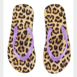 Molo Klipklapper - Zeppo - Allover Leo