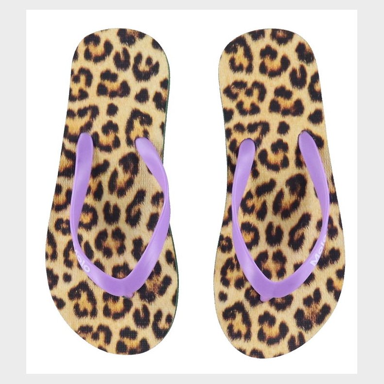 Molo Klipklapper - Zeppo - Allover Leo