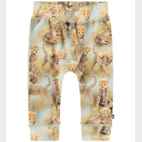 Molo Bukser - Sammy - Cheetah Cubs