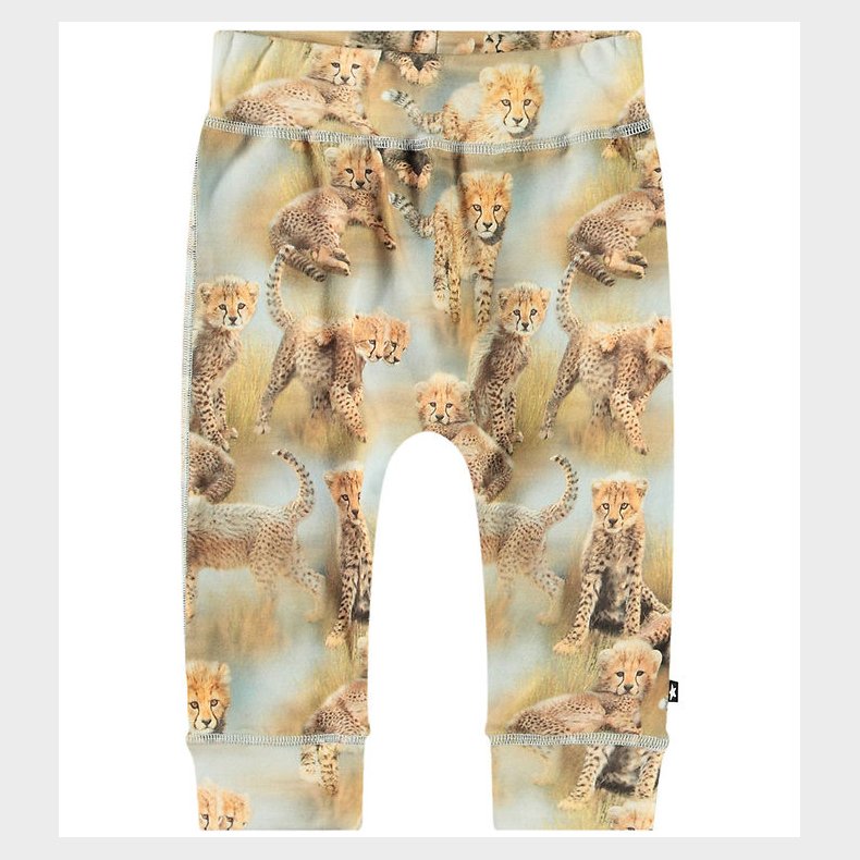Molo Bukser - Sammy - Cheetah Cubs