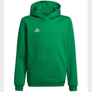 adidas Performance Httetrje - Ent22 Hoody Y - Teagrn/White