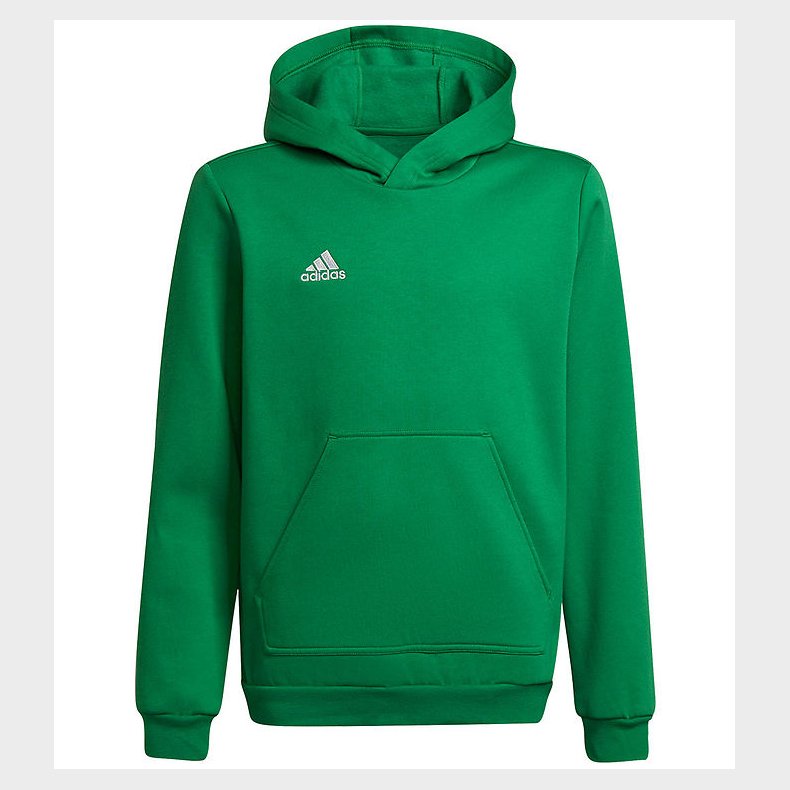 adidas Performance Httetrje - Ent22 Hoody Y - Teagrn/White