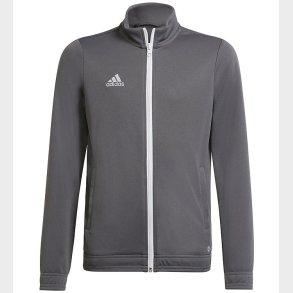 adidas Performance Cardigan - ENT22 TK JKTY - TEGRFO