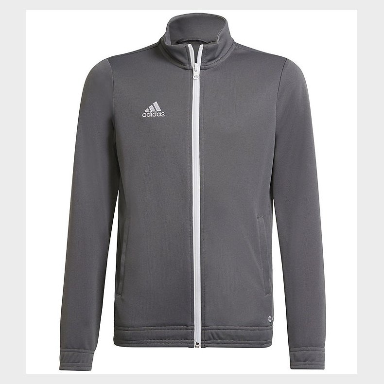 adidas Performance Cardigan - ENT22 TK JKTY - TEGRFO