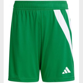 adidas Performance Shorts - FORTORE23 SHO Y - TEAGRN/WHITE