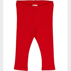 Freds World Leggings - Alfa Rib - Rd