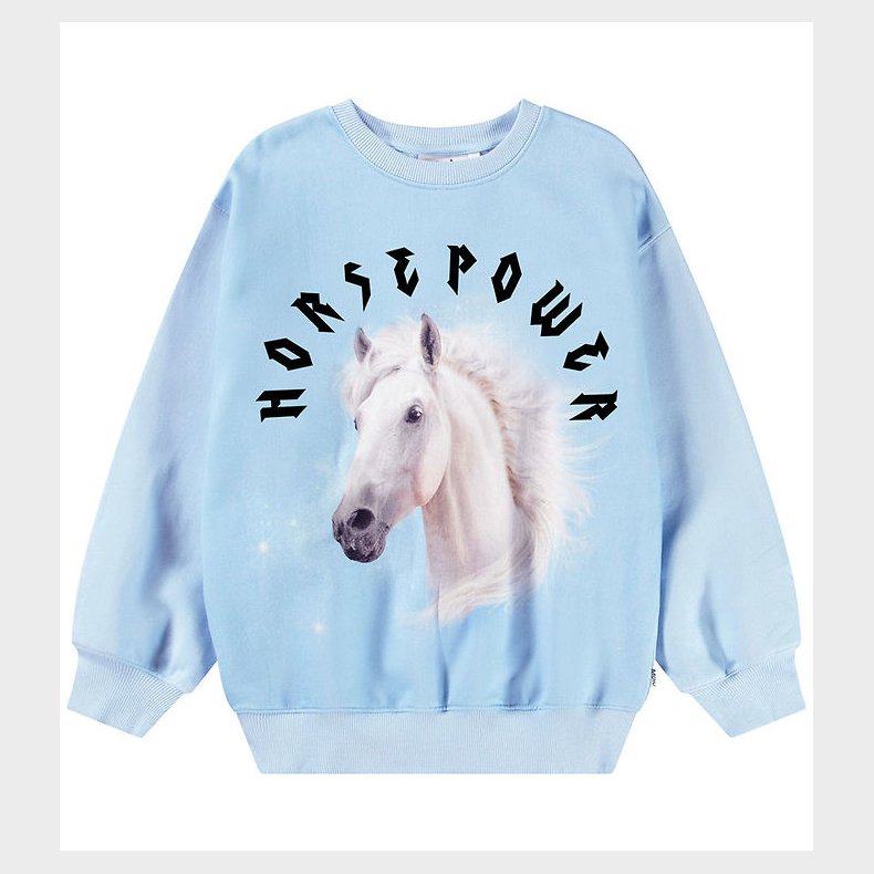 Molo Sweatshirt - Monti - HorsePower