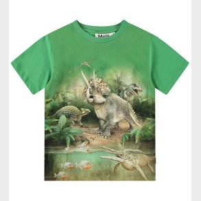 Molo T-shirt - Riley - Jungle Dinos