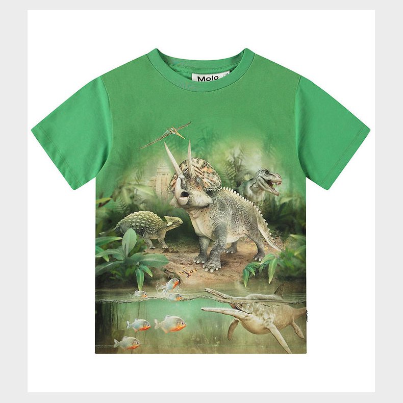 Molo T-shirt - Riley - Jungle Dinos