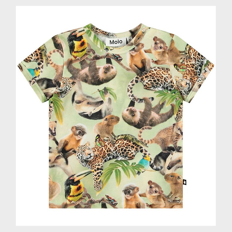 Molo T-shirt - Easy - Jungle Cubs