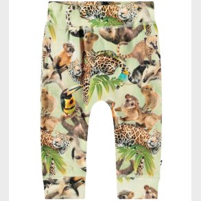 Molo Bukser - Sammy - Jungle Cubs