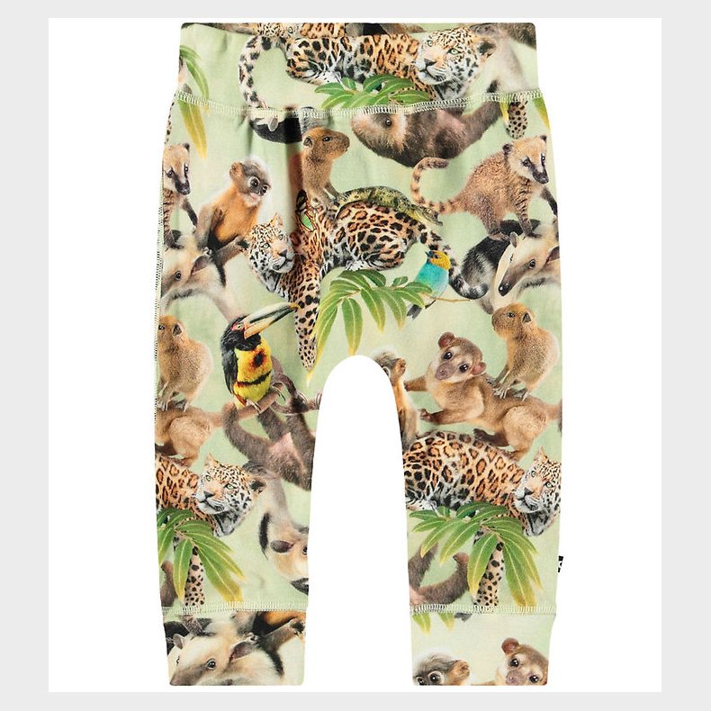 Molo Bukser - Sammy - Jungle Cubs