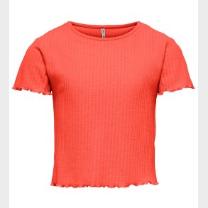 Kids Only T-shirt - Noos - Rib - KogNella - Dubarry