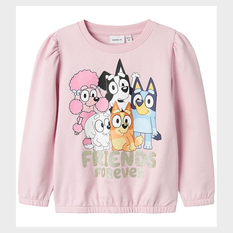 Name It Sweatshirt - Bluey - NmfOda - Corsage