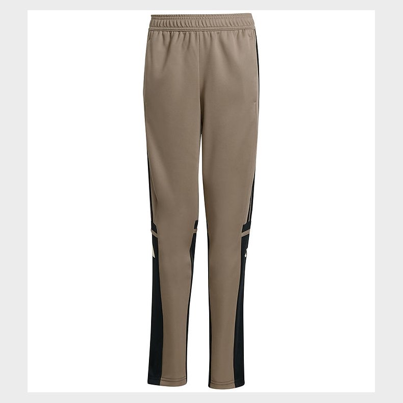 adidas Performance Bukser - Tr PNT T - Blacar/Sort/Warvan