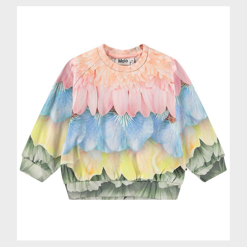 Molo Sweatshirt - Disc - Petal Rainbow m. Blomsterprint