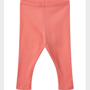 Wheat Leggings - Rib - Maddy - Light Coral