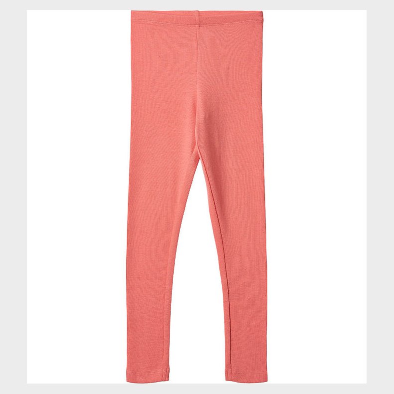 Wheat Leggings - Rib - Maddy - Light Coral