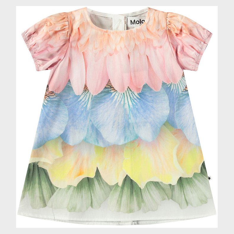 Molo Kjole - Caja - Petal Rainbow