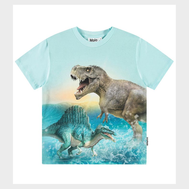 Molo T-shirt - Roxo - Dino Splash