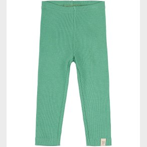 Petit Piao Leggings - Rib - Modal - Green Spruce