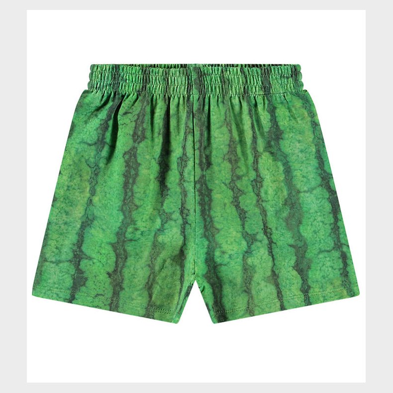 Molo Shorts - Suno - Melancia