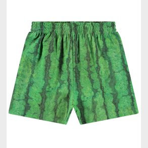 Molo Shorts - Suno - Melancia