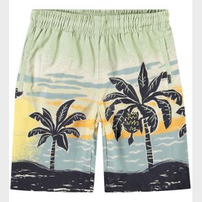 Molo Shorts - Adi - Beach Banana