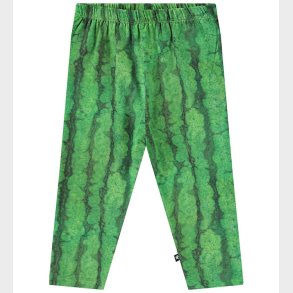 Molo Bukser - Simway - Melancia