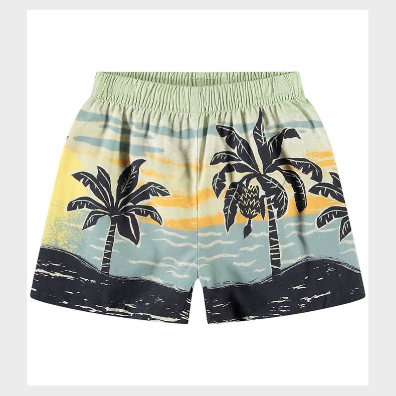 Molo Shorts - Solar - Palm Babynanas