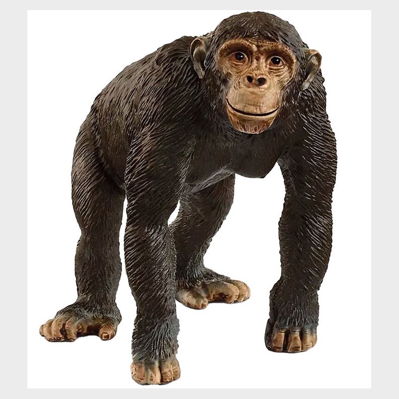 Schleich Wild Life - Chimpanse 8,5 cm - 14883