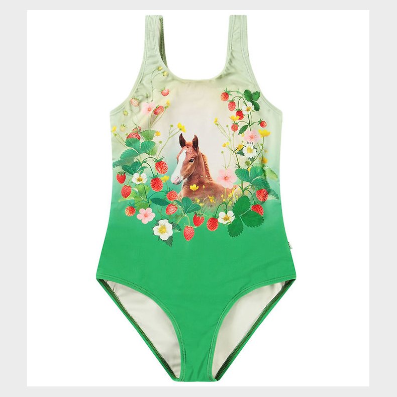 Molo Badedragt - UV50+ - Nika - Beauty