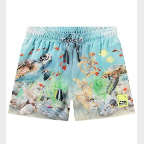 Molo Badeshorts - UV50+ - Niko - Happy Ocean