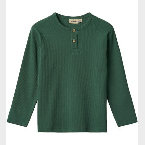 Wheat Bluse - Rib - Morris - Green Tea